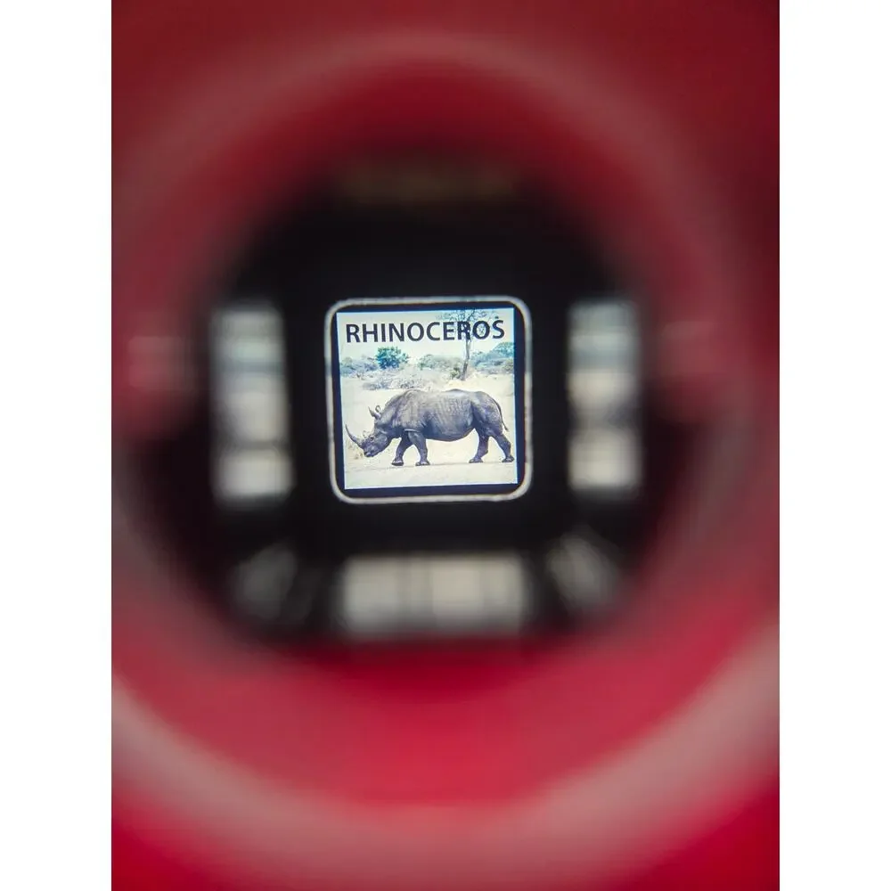 Vintage-Style Fisher-Price‎ Pocket Camera (2017 Reproduction)